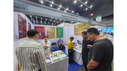 Thailand Wellness & Healthcare 2024